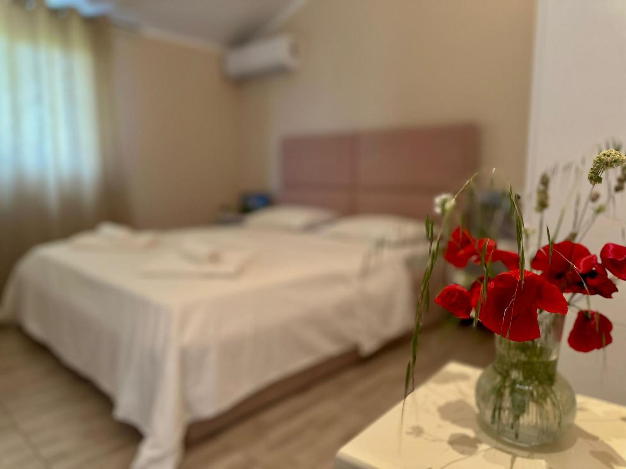 Hotel Villa Ballkan Grilë Eksteriør billede